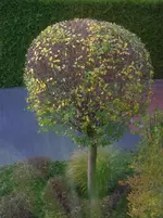DSCN7044.webp