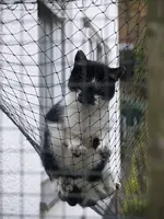 PA292118.webp