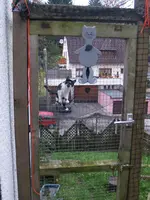 PA292117.webp