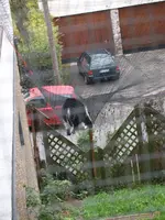 PA292119.webp