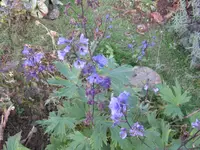 020.webp