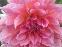008.webp