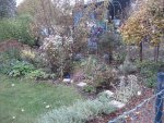 garten 09 012.JPG