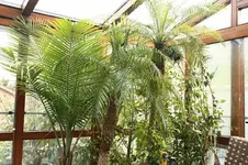 IMG_2970.webp