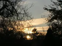 2009  Garten -11- 027.webp
