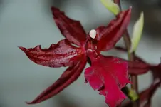 DSC_3157.webp