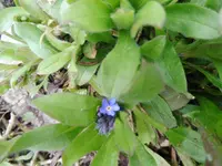 P1050027.webp