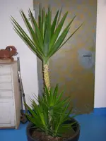 14_02_2020 (9).webp