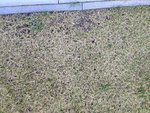 IMG_20200309_172718.jpg