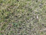 IMG_20200309_172657.jpg