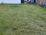 IMG_20200309_172702.jpg