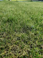 IMG_20200309_172708.webp