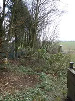 P1150450oberes Heckenende.webp