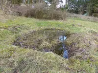P1150469Teich.webp