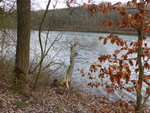 P1150489Heilenbecker Talsperre.JPG