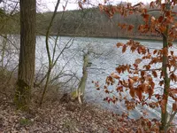 P1150489Heilenbecker Talsperre.webp