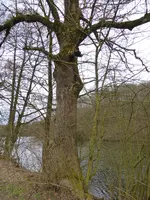 P1150491Heilenbecker Talsperre.webp