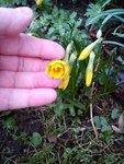 DSC05780.jpg