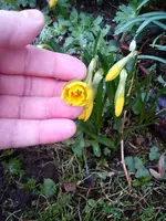 DSC05780.webp