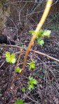 20200309_152701.jpg