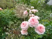 004.webp