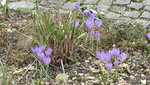 P1210040.JPG