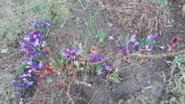 IMG_20200301_134155.webp