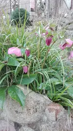 IMG_20200301_134020.webp