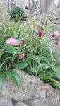 IMG_20200301_134020.jpg