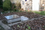 Gemüsegarten0320.JPG