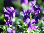 image004.jpg