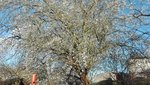 IMG_20200312_163143.jpg