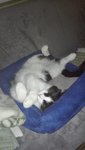 IMG_20200308_201632.jpg