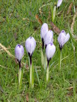 P1150350.JPG