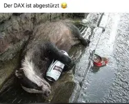Dax.webp