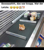 hamster.webp
