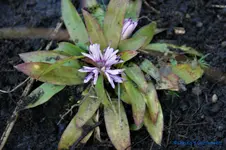 comp_DSC08753.jpg
