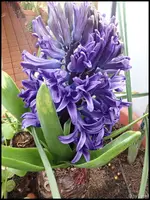 c020.webp