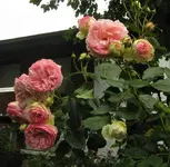 IMG_0874 (2).webp