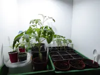 P1000104.webp