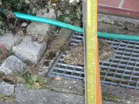 DSC00867.JPG