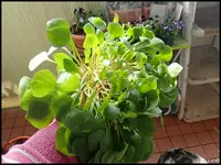 c024.webp