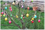 Garten im März 2.jpg