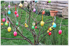Garten im März 2.webp