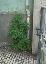2020rtzn04.webp