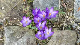 P1210181.webp