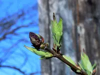 image001.webp