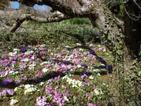 SAM_1605.webp