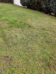 IMG_20200318_152739-2.jpg