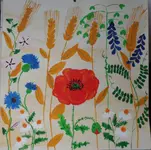 SAM10636.webp